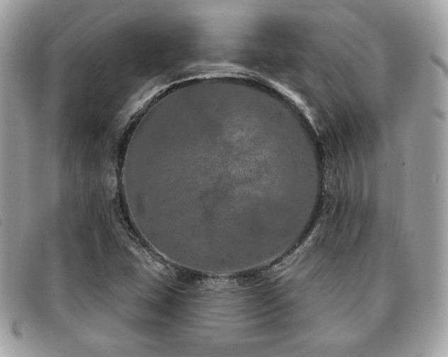 X0000091531407200708171210