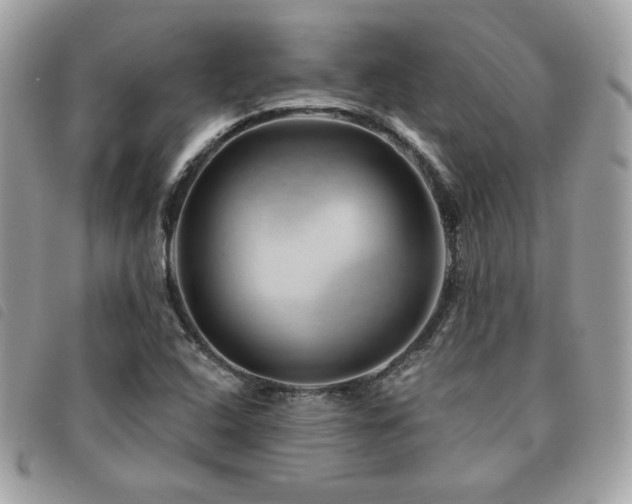 X0000091531408200708171210