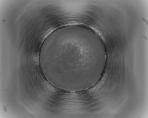 X0000091531409200708171210