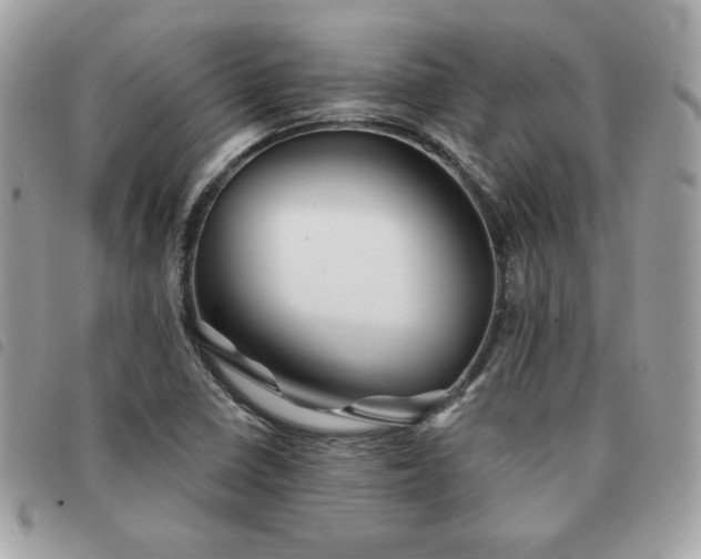 X0000091531410200708171210