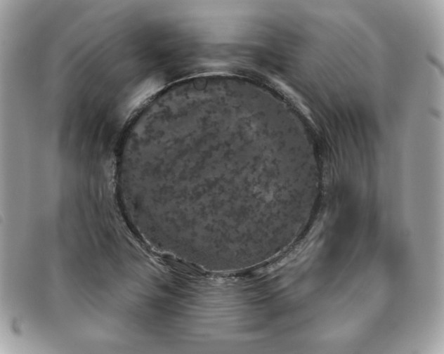 X0000091531411200708171210