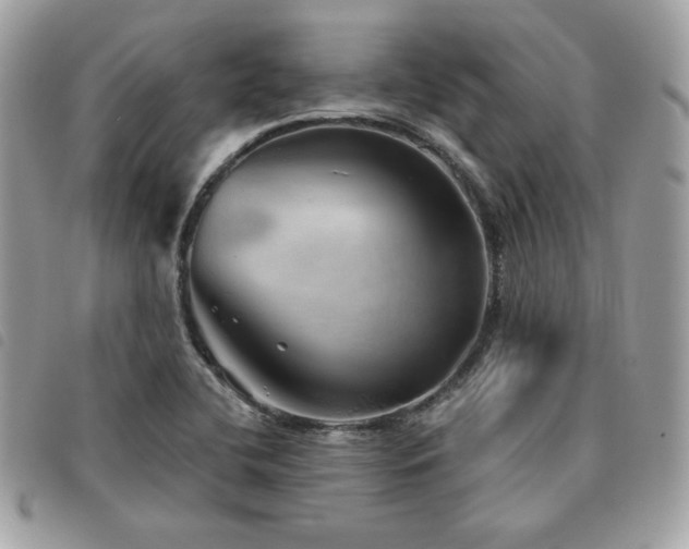 X0000091531412200708171210