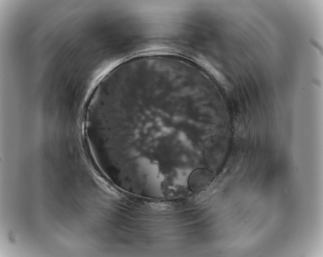 X0000091531413200708171210