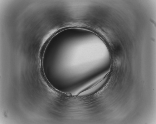 X0000091531414200708171210