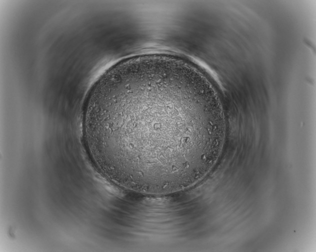 X0000091531415200708171210