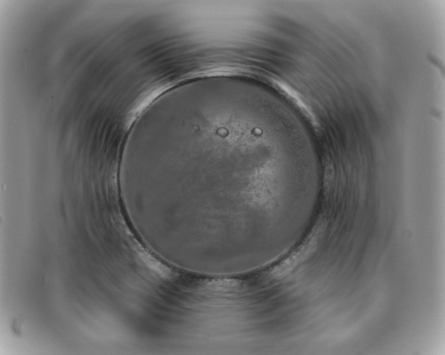 X0000091531417200708171210