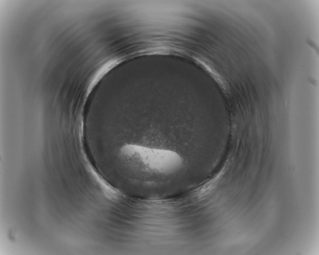 X0000091531418200708171210