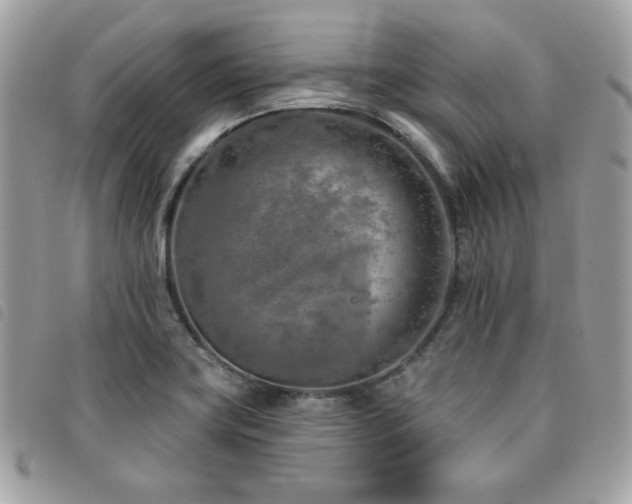 X0000091531419200708171210