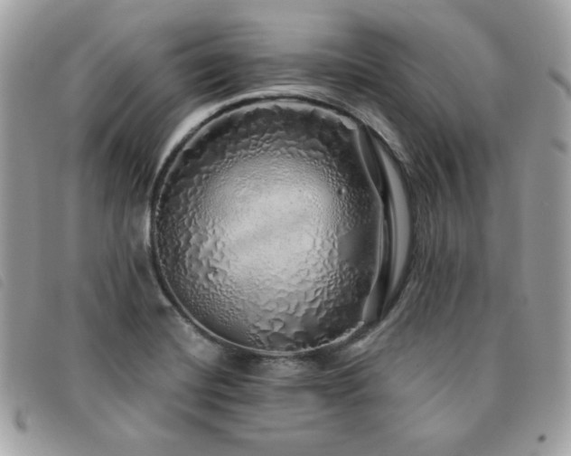 X0000091531420200708171210