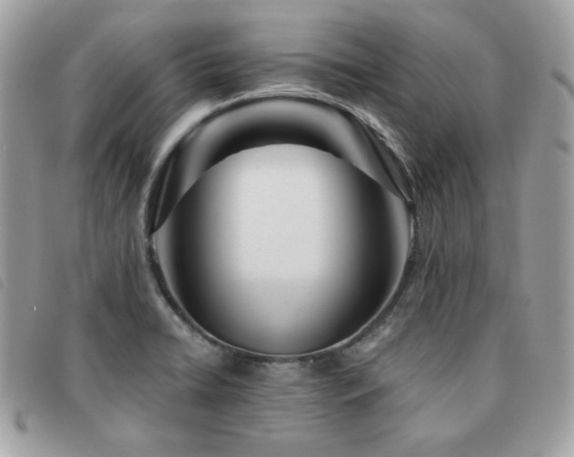 X0000091531422200708171210