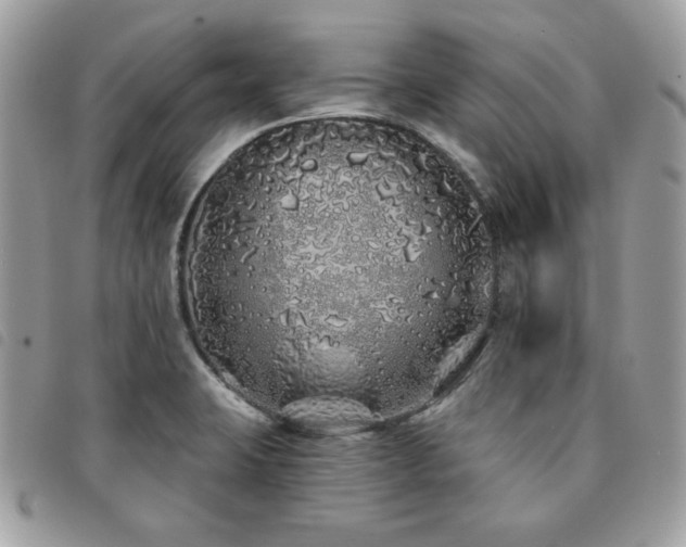 X0000091531423200708171210