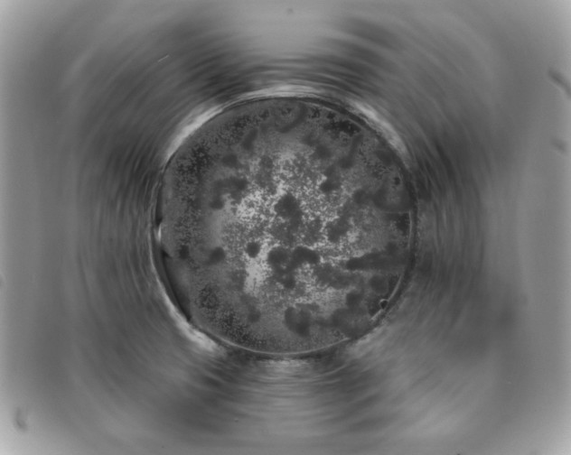 X0000091531425200708171210