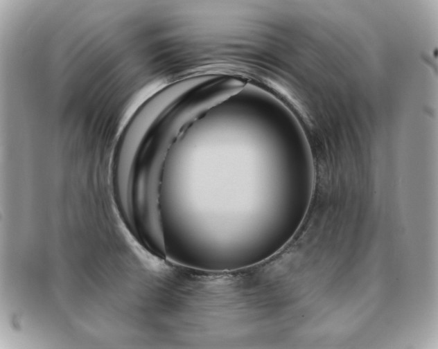 X0000091531426200708171210