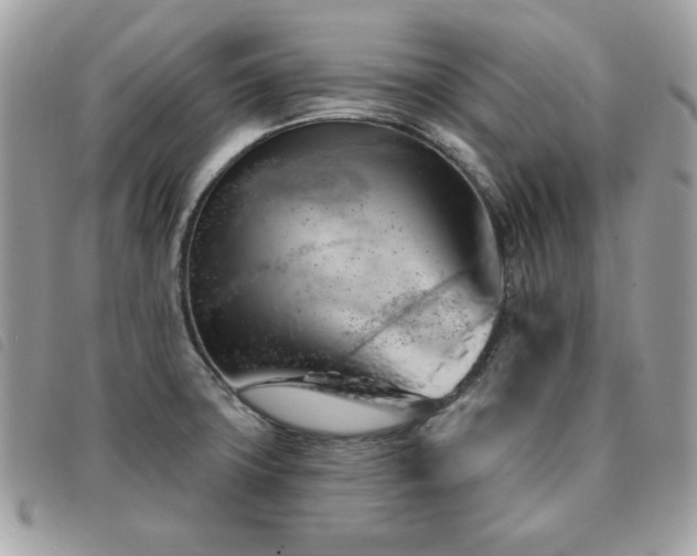 X0000091531427200708171210