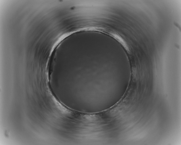 X0000091531428200708171210