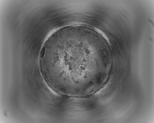 X0000091531429200708171210