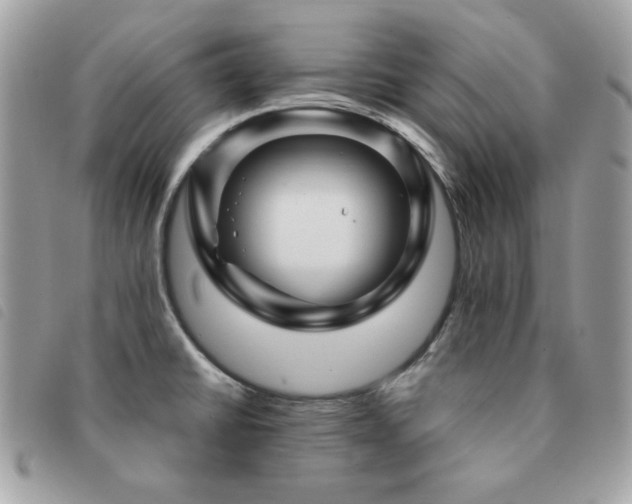 X0000091531430200708171210