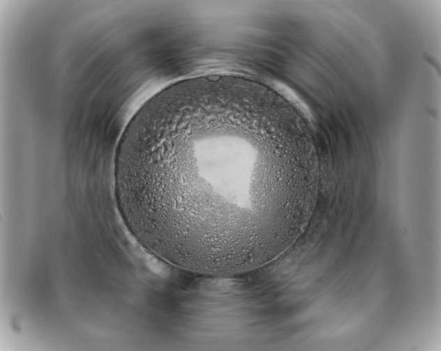 X0000091531431200708171211