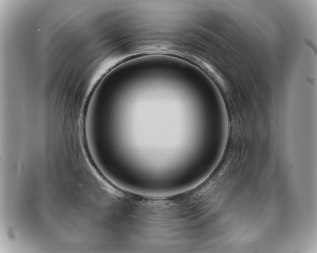 X0000091531432200708171211