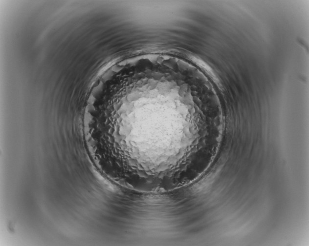 X0000091531433200708171211