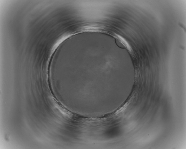 X0000091531435200708171211