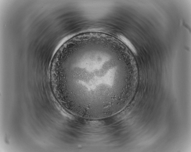 X0000091531436200708171211