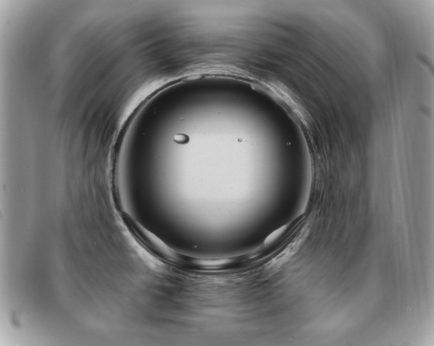 X0000091531438200708171211