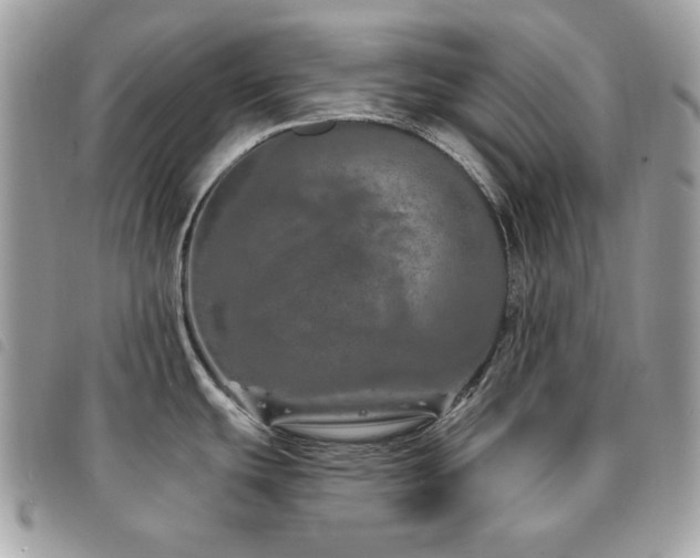 X0000091531439200708171211