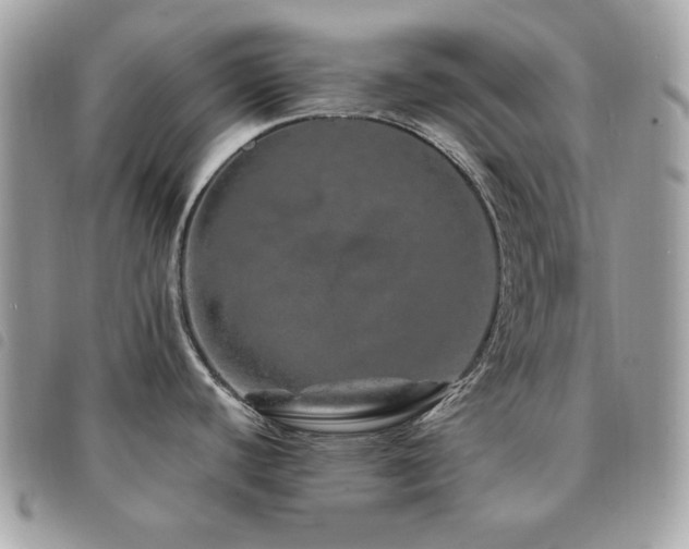 X0000091531440200708171211