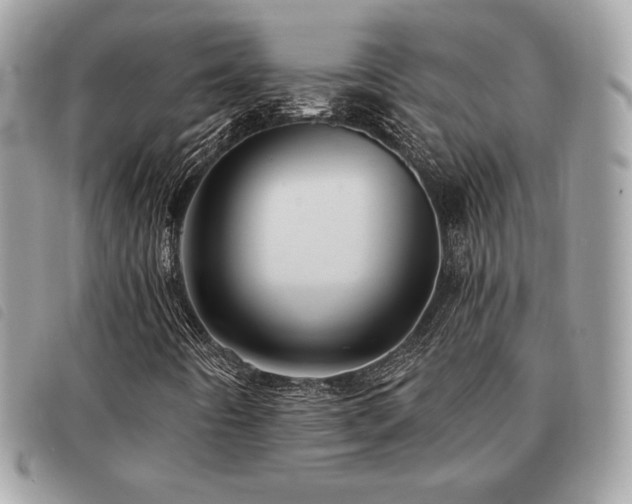 X0000091531442200708171210