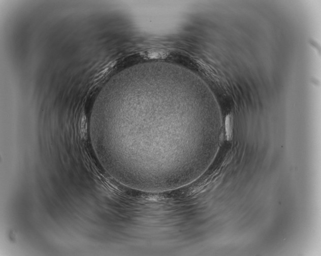 X0000091531443200708171210