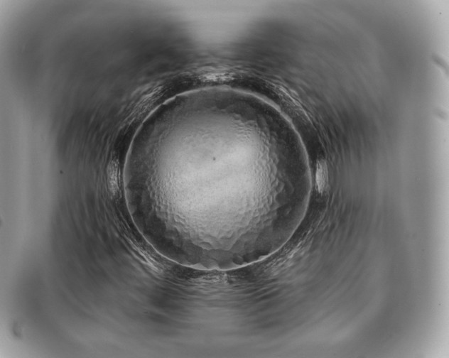 X0000091531444200708171210