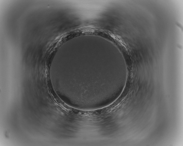 X0000091531445200708171210