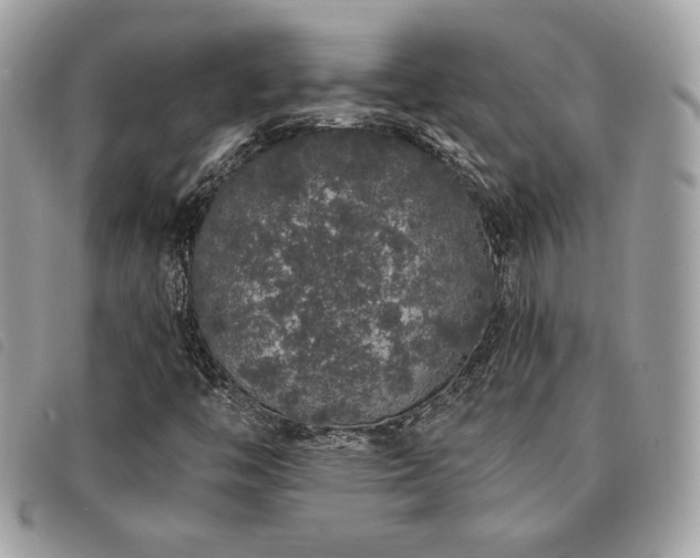 X0000091531446200708171210