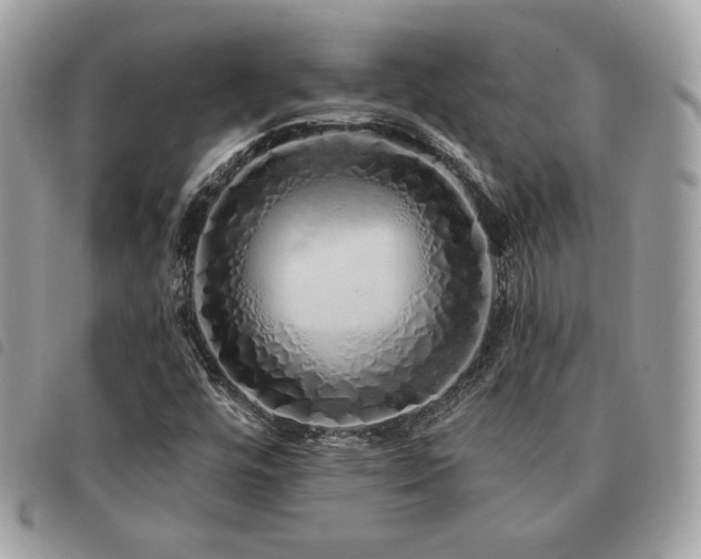 X0000091531448200708171210