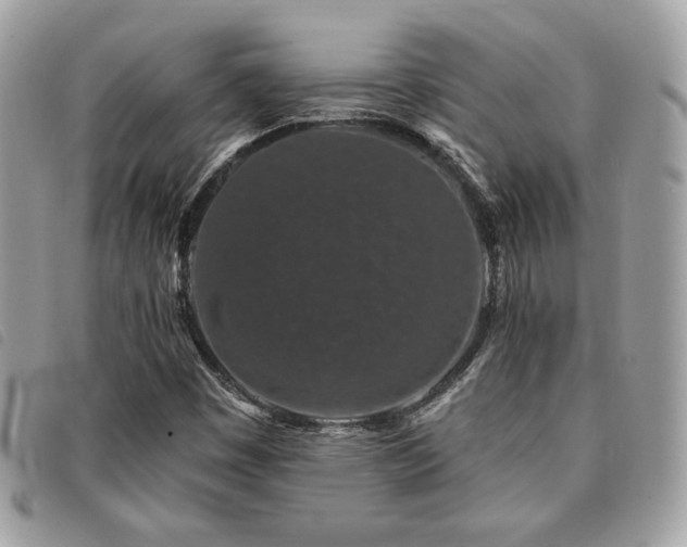 X0000091531449200708171210