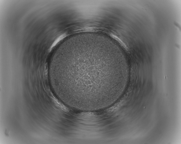 X0000091531450200708171210