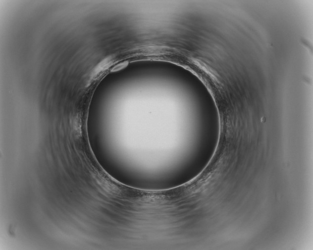 X0000091531451200708171210
