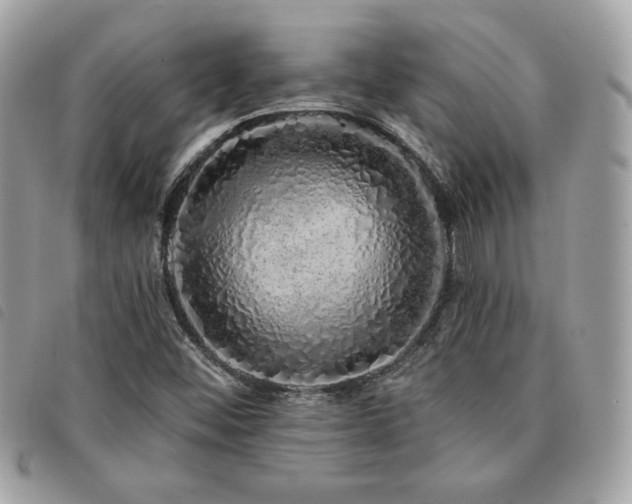 X0000091531452200708171210