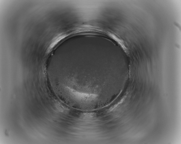 X0000091531453200708171210
