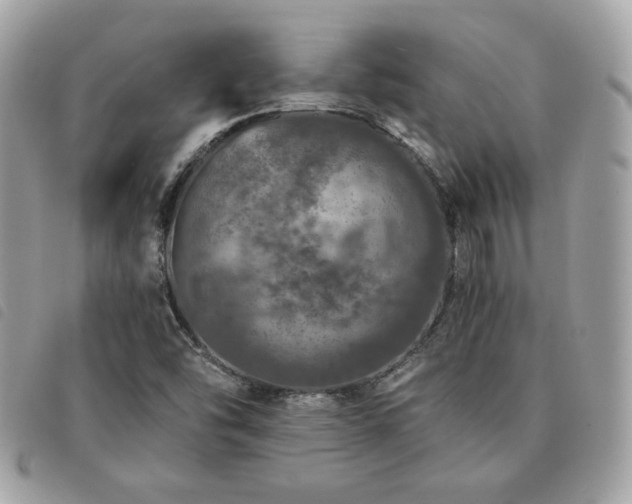 X0000091531454200708171210