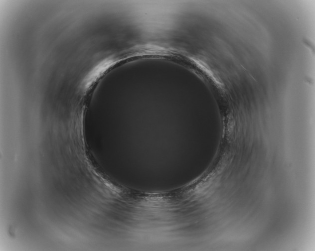 X0000091531455200708171210