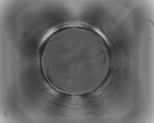 X0000091531456200708171210