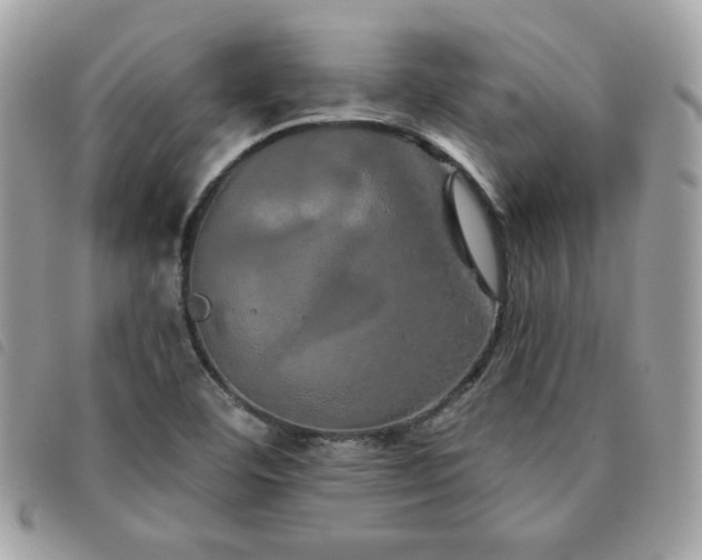 X0000091531460200708171210