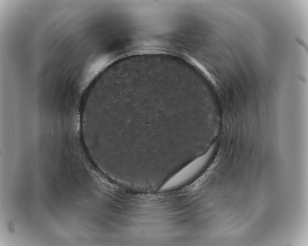 X0000091531461200708171210