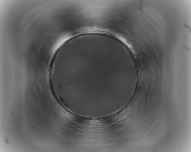 X0000091531463200708171209