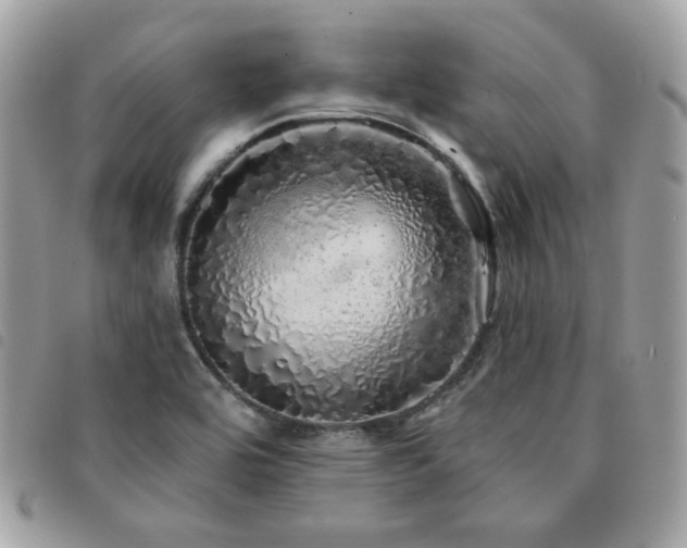 X0000091531464200708171209