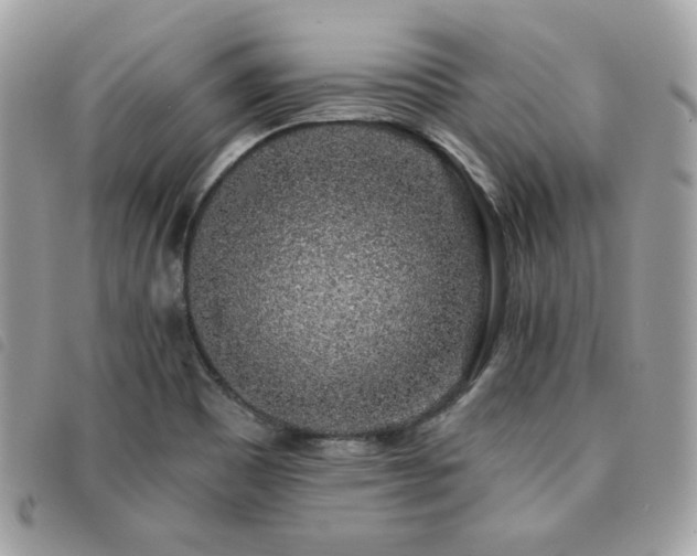 X0000091531465200708171209