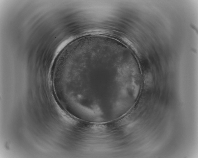 X0000091531466200708171209