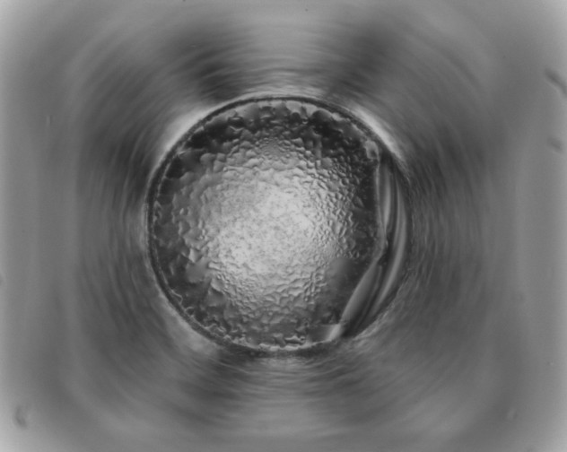 X0000091531468200708171209